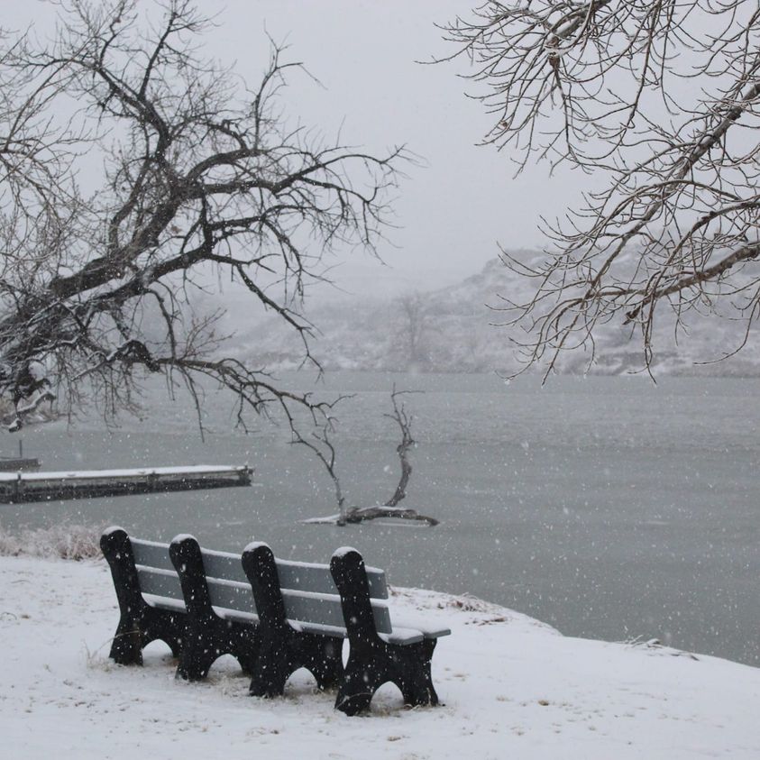 Bench in Winter Credit: Judith Wright